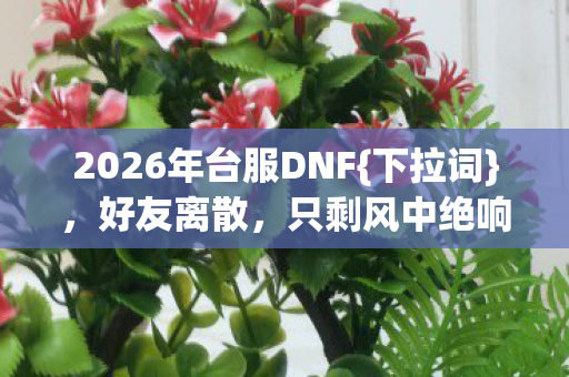 2026年台服DNF{下拉词}，好友离散，只剩风中绝响