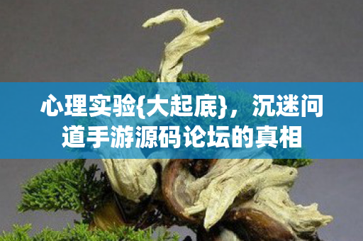 心理实验{大起底}，沉迷问道手游源码论坛的真相