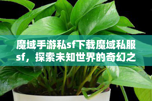 魔域手游私sf下载魔域私服sf图片