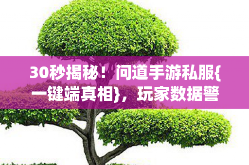 30秒揭秘!问道手游私服{一键端真相},玩家数据警示录 30秒揭秘!问道手游私服{一键端真相},玩家数据警示录