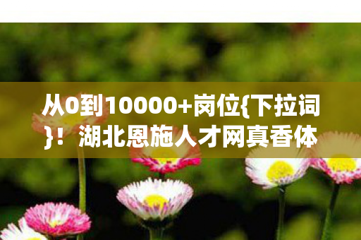 湖北恩施人才网真香体验图片