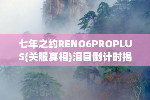 七年之约RENO6PROPLUS图片