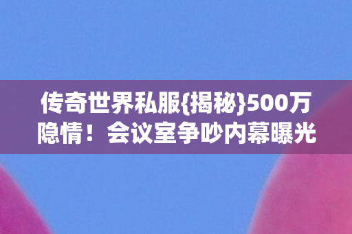 会议室争吵内幕曝光图片