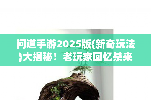 问道手游2025版{新奇玩法}大揭秘！老玩家回忆杀来袭