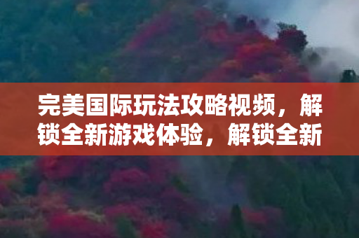 完美国际玩法攻略视频图片