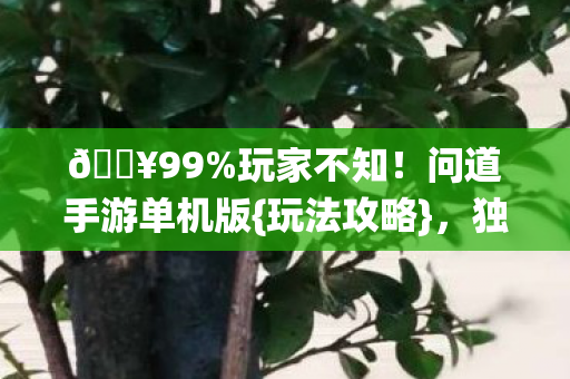 🔥99%玩家不知！问道手游单机版{玩法攻略}，独享仙途自由
