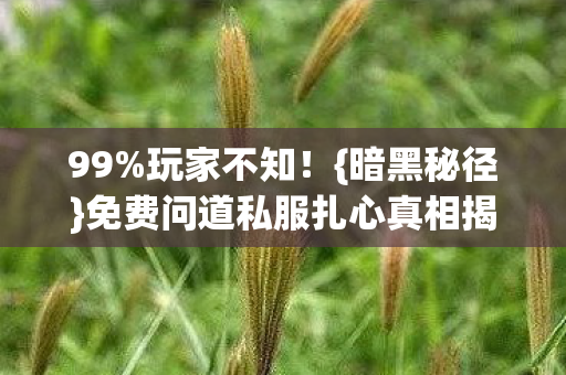 99%玩家不知!{暗黑秘径}免费问道私服扎心真相揭秘 99%玩家不知!{暗黑秘径}免费问道私服扎心真相揭秘