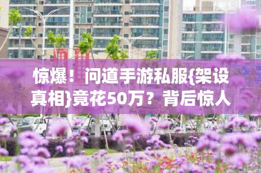 惊爆!问道手游私服{架设真相}竟花50万?背后惊人! 惊爆!问道手游私服{架设真相}竟花50万?背后惊人!