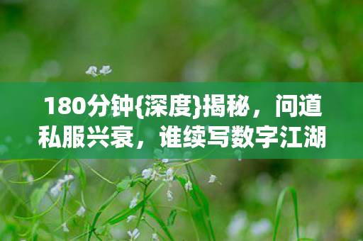 180分钟{深度}揭秘，问道私服兴衰，谁续写数字江湖终章？