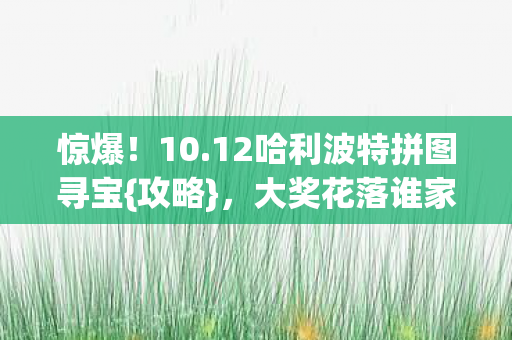 12哈利波特拼图寻宝图片