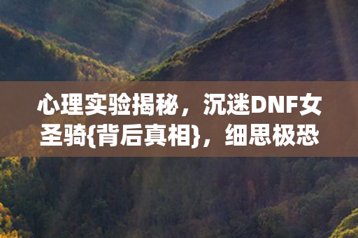 沉迷DNF女圣骑图片