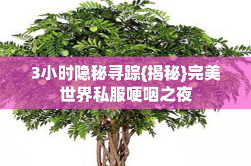 3小时隐秘寻踪{揭秘}完美世界私服哽咽之夜 3小时隐秘寻踪{揭秘}完美世界私服哽咽之夜