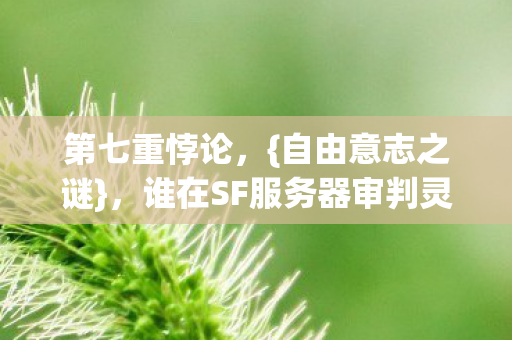 谁在SF服务器审判灵魂图片