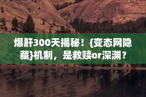 爆肝300天揭秘图片