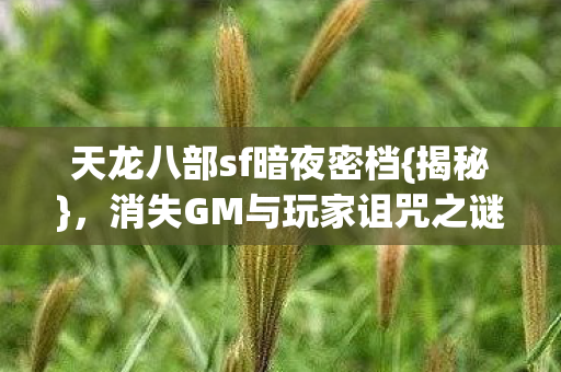 消失GM与玩家诅咒之谜图片