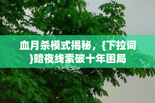 暗夜线索破十年困局图片