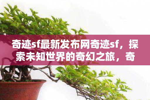 奇迹sf最新发布网奇迹sf图片