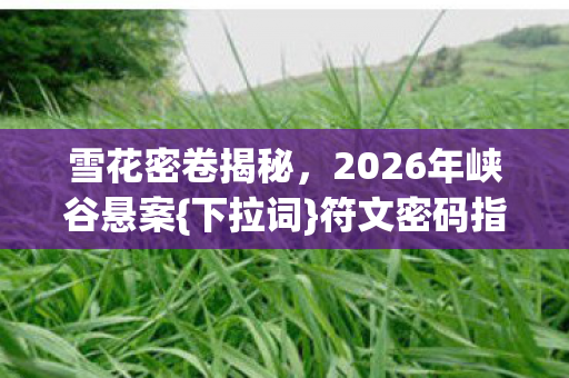 雪花密卷揭秘，2026年峡谷悬案{下拉词}符文密码指向召唤师