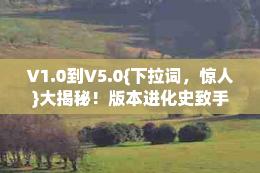 V1.0到V5.0{下拉词,惊人}大揭秘!版本进化史致手脚冰凉出汗 V1.0到V5.0{下拉词,惊人}大揭秘!版本进化史致手脚冰凉出汗