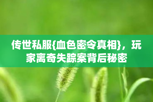 玩家离奇失踪案背后秘密图片