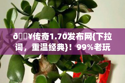 老玩家热血回归图片