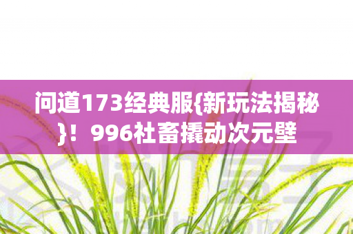 问道173经典服{新玩法揭秘}！996社畜撬动次元壁