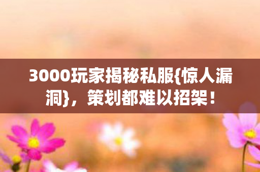 3000玩家揭秘私服{惊人漏洞},策划都难以招架! 3000玩家揭秘私服{惊人漏洞},策划都难以招架!