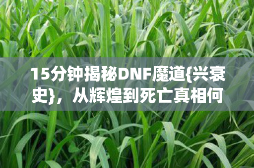 15分钟揭秘DNF魔道{兴衰史}，从辉煌到死亡真相何时明？