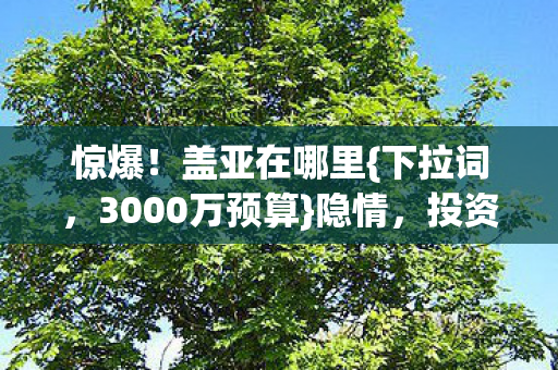 惊爆！盖亚在哪里{下拉词，3000万预算}隐情，投资人惊了！