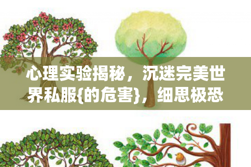 心理实验揭秘，沉迷完美世界私服{的危害}，细思极恐