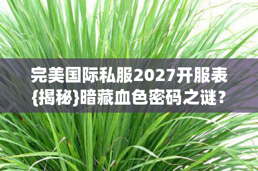 完美国际私服2027开服表{揭秘}暗藏血色密码之谜？