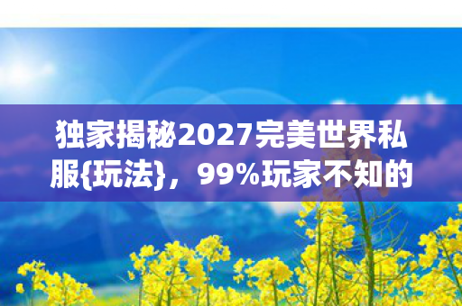 独家揭秘2027完美世界私服{玩法},99%玩家不知的心得 独家揭秘2027完美世界私服{玩法},99%玩家不知的心得
