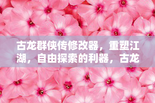 古龙群侠传修改器图片