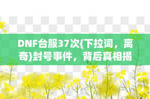 DNF台服37次{下拉词,离奇}封号事件,背后真相揭秘 DNF台服37次{下拉词,离奇}封号事件,背后真相揭秘