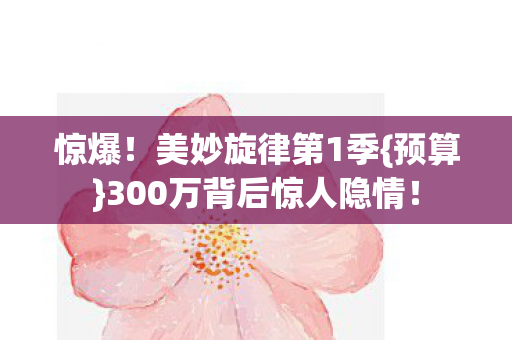 惊爆!美妙旋律第1季{预算}300万背后惊人隐情! 惊爆!美妙旋律第1季{预算}300万背后惊人隐情!