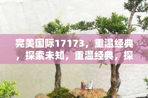 完美国际17173图片
