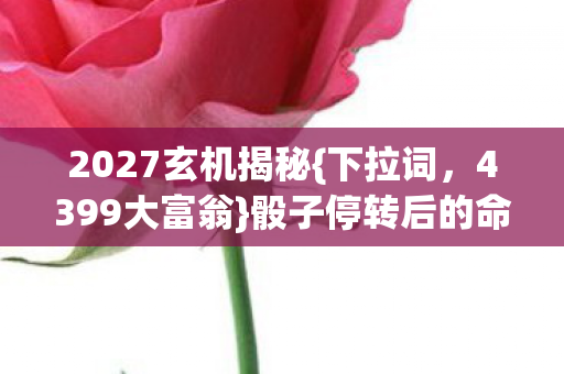 2027玄机揭秘{下拉词，4399大富翁}骰子停转后的命运沉默
