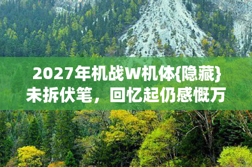 2027年机战W机体{隐藏}未拆伏笔，回忆起仍感慨万千