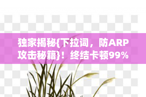独家揭秘{下拉词,防ARP攻击秘籍}!终结卡顿99%玩家亲测 独家揭秘{下拉词,防ARP攻击秘籍}!终结卡顿99%玩家亲测
