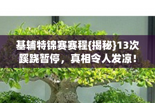 基辅特锦赛赛程{揭秘}13次蹊跷暂停,真相令人发凉! 基辅特锦赛赛程{揭秘}13次蹊跷暂停,真相令人发凉!