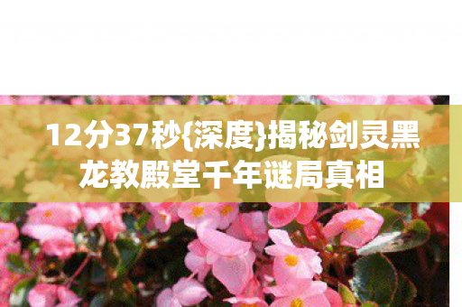 12分37秒{深度}揭秘剑灵黑龙教殿堂千年谜局真相 12分37秒{深度}揭秘剑灵黑龙教殿堂千年谜局真相