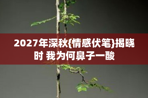 2027年深秋{情感伏笔}揭晓时 我为何鼻子一酸 2027年深秋{情感伏笔}揭晓时 我为何鼻子一酸