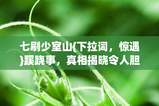 七刷少室山{下拉词，惊遇}蹊跷事，真相揭晓令人胆寒！