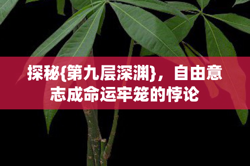 探秘{第九层深渊},自由意志成命运牢笼的悖论 探秘{第九层深渊},自由意志成命运牢笼的悖论