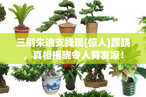 三刷朱迪支线现{惊人}蹊跷,真相揭晓令人背发凉! 三刷朱迪支线现{惊人}蹊跷,真相揭晓令人背发凉!