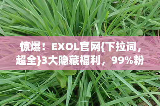 惊爆!EXOL官网{下拉词,超全}3大隐藏福利,99%粉丝不知情 惊爆!EXOL官网{下拉词,超全}3大隐藏福利,99%粉丝不知情