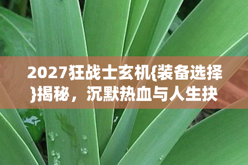 2027狂战士玄机{装备选择}揭秘,沉默热血与人生抉择 2027狂战士玄机{装备选择}揭秘,沉默热血与人生抉择