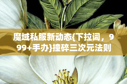 魔域私服新动态图片
