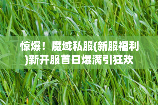 新开服首日爆满引狂欢图片