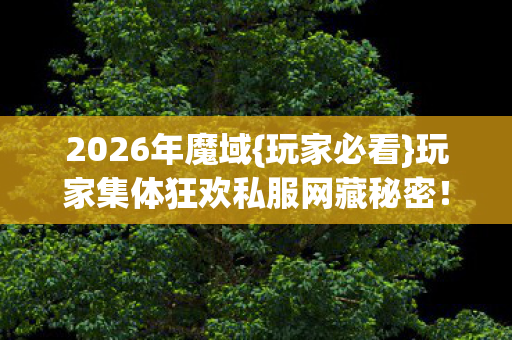 玩家集体狂欢私服网藏秘密图片